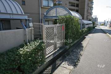 通用口
