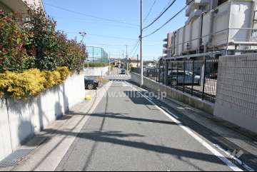 敷地北側の前面道路
