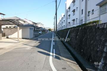 敷地北側の前面道路（西側から）