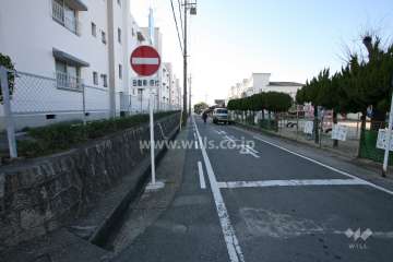 敷地北側の前面道路（東側から）