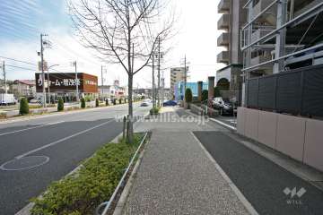 敷地北側の前面道路(西側から)