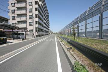 敷地東側の前面道路
