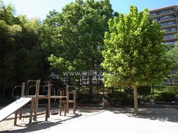 敷地に隣接して公園があります。