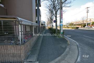 敷地北西側の前面道路(北東側から)