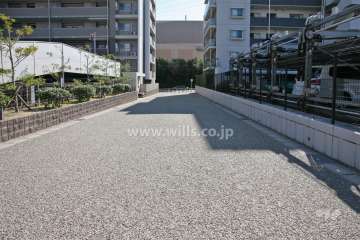 敷地南東側の前面道路（北西側から）