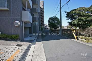 敷地北側の前面道路(東側から)