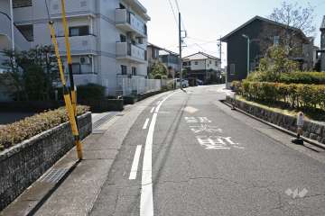 敷地西側の前面道路（北側から）