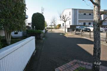 敷地北側の前面道路（東側から）