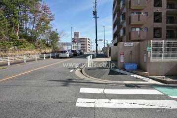 敷地北東側の前面道路(北西側から)