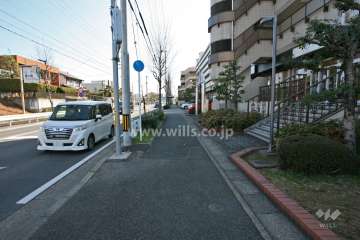 敷地北側の前面道路(西側から)