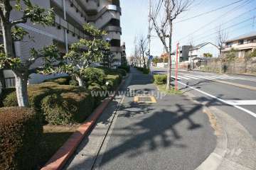 敷地北側の前面道路(東側から)