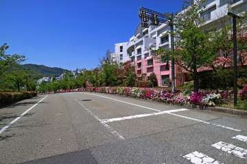 敷地南東側の前面道路（北東側から）