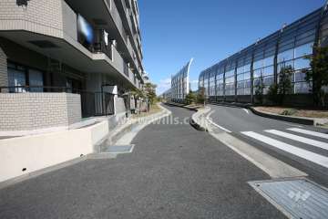 敷地南東側の前面道路