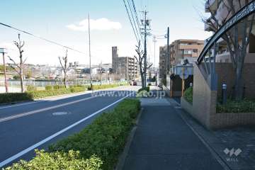 敷地北側の前面道路(西側から)