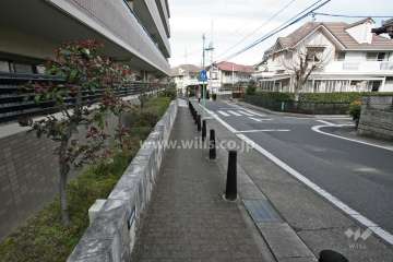 敷地東側の前面道路(南側から)
