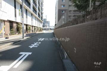敷地東側の前面道路（北側から）