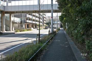 敷地西側の前面道路(北側から)