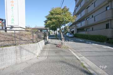 敷地西側の前面道路（南側から）