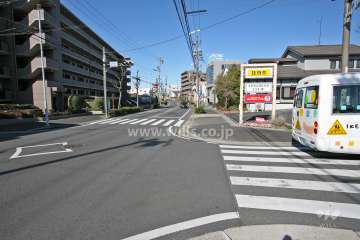 敷地北側の前面道路(東側から)