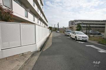 敷地南側の前面道路(西側から)