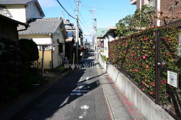敷地西側の前面道路（南側から）