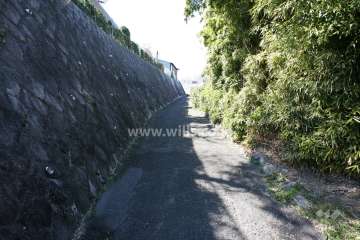 敷地北側の前面通路（東側から）
