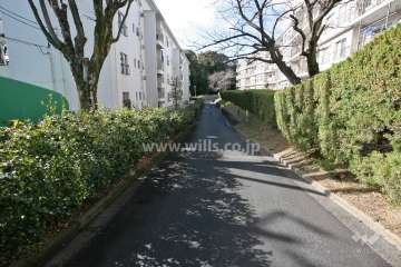 敷地北側の前面道路(東側から)