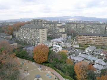 メゾン千里丘全景。小高い丘の上にあります。