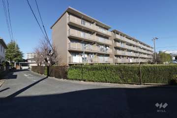 敷地西側と南西側の前面道路（南側から）