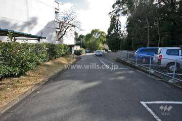 敷地西側の前面道路(北側から)