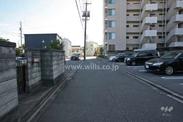 敷地東側の前面道路(北側から)