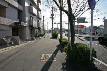 敷地西側の前面道路(県道59号線)