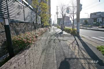 敷地西側の前面道路(県道59号線)