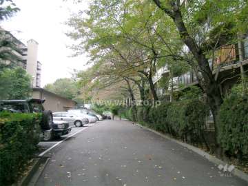 敷地内は各所に植栽スペースが設けられ、たいへん緑豊かです。