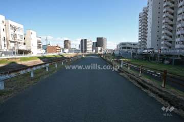 敷地北側の前面道路(西側から)