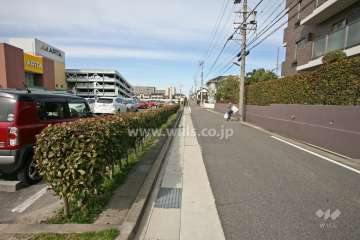 敷地西側の前面道路（南側から）