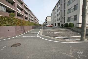 敷地北側の前面道路（西側から）