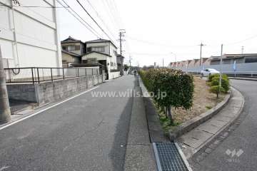 敷地西側の前面道路（北側から）