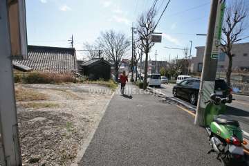 敷地西側の前面道路(北側から)