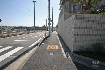 敷地東側の前面道路（北側から）