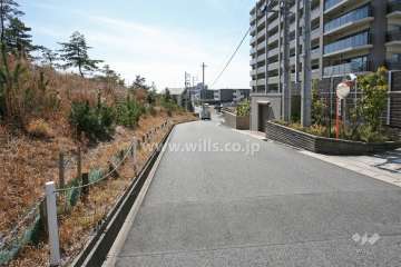 敷地南東側の前面道路（北東側から）
