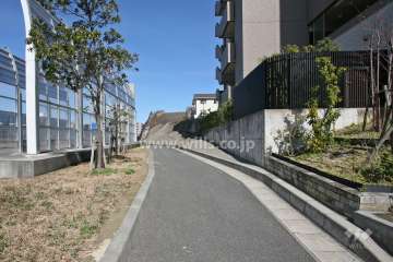 敷地北西側の前面道路（南西側から）