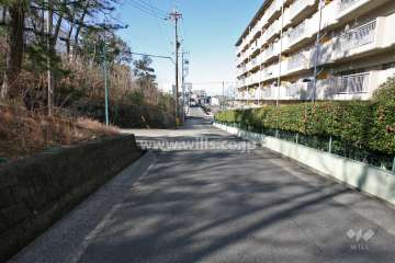 敷地南側の前面道路(東側から)