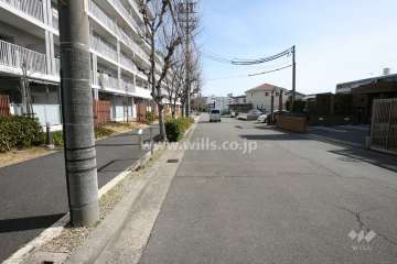 敷地北側の前面道路（西側から）