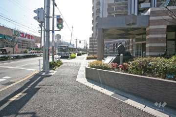 敷地東側の前面道路