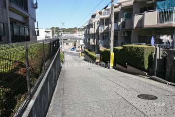 敷地南西側の前面道路（南側から）