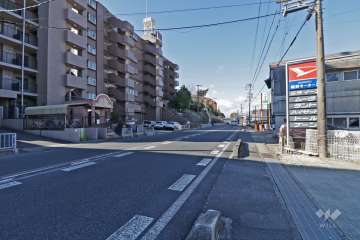 敷地北東側の前面道路（国道1号線）