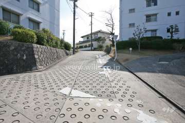 敷地東側の前面道路
