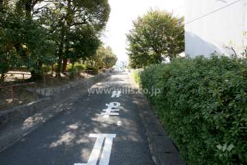 敷地東側の前面道路