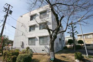 有松グリーンハイツ30号棟の外観(東側から)